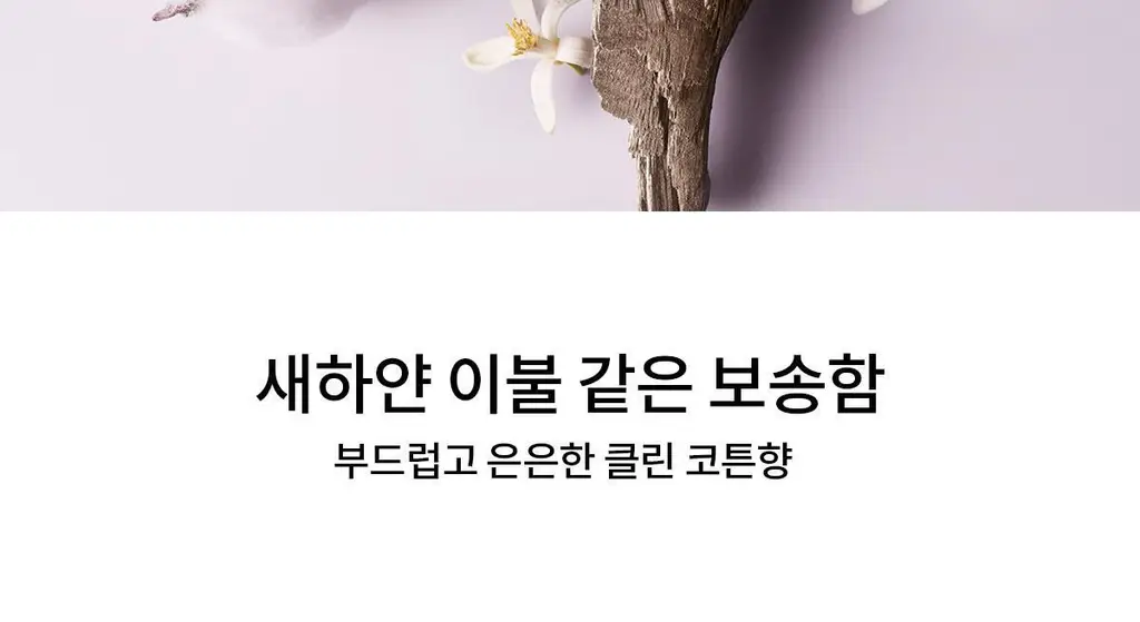 [클린코튼향]나르시소 로드리게즈 나르시소 래디언트 EDP (30ml/50ml) 상세페이지 10
